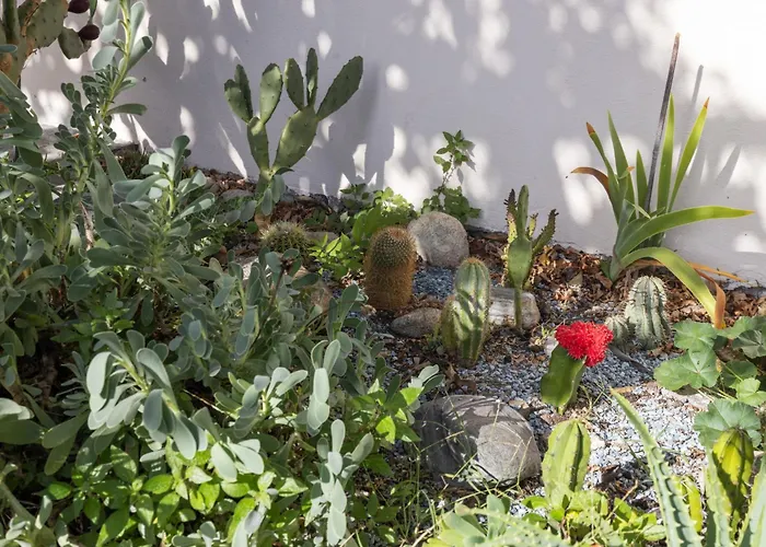 Egner- Apt-panorama By Interhome