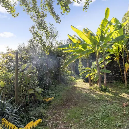 Egner- Apt-panorama By Interhome *