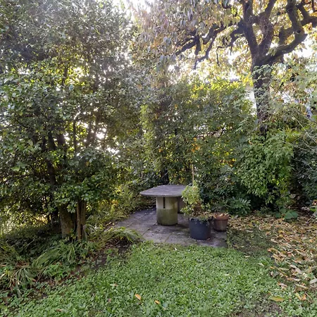 Appartamento Egner- Apt-panorama By Interhome Muralto